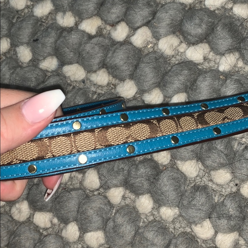 Coach belt